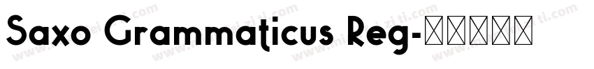 Saxo Grammaticus Reg字体转换
